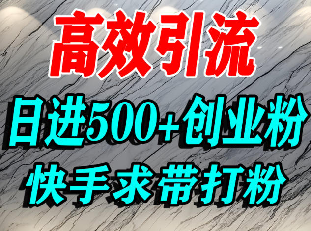 怎么打创业粉?快手求带视角精准引流创业粉,宝妈、学生群体日进500+精准流量-八瞄副业网