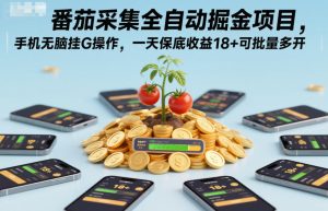 番茄采集全自动掘金项目，手机无脑挂G操作，一天保底收益18+可批量多开【揭秘】-八瞄副业网