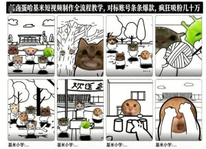 卤蛋哈基米短视频制作全流程教学,条条爆款,疯狂吸粉几十万-八瞄副业网