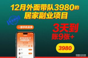 12月外面带队3980的居家副业项目，一部手机实测3天到账9张+，首发教程【揭秘】-八瞄副业网