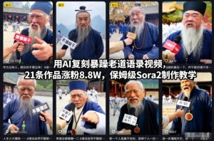 用AI复刻暴躁老道语录视频，21条作品涨粉8.8W，保姆级Sora2制作教学-八瞄副业网