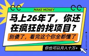 26年了,不要再疯狂的找项目了,看完这个你也可以月入十个W【揭秘】-八瞄副业网
