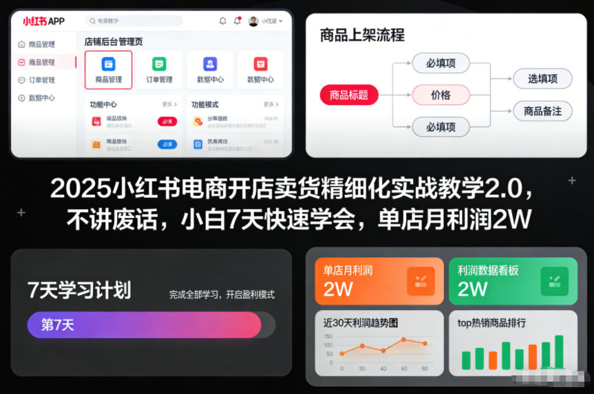 2025小红书电商开店卖货精细化实战教学2.0，不讲废话，小白7天快速学会，单店月利润2W-八瞄副业网