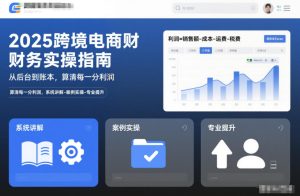 2025跨境电商财务实操指南,从后台到账本,算清每一分利润,系统讲解-案例实操-专业提升-八瞄副业网