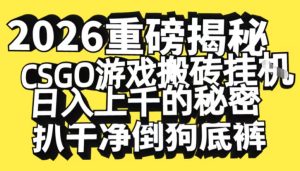 2026开年重磅解密，CSGO游戏搬砖挂G日入1k+的秘密，把倒狗的底裤扒干【揭秘】-八瞄副业网