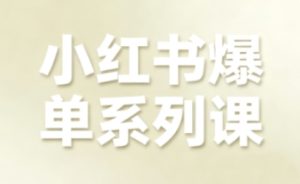 小红书爆单系列课，聚焦小红书电商全链路增长（更新）-八瞄副业网