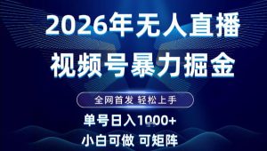 2026最新视频号无人直播掘金，全网首发，小白可以玩，长期稳定日入1k+【揭秘】-八瞄副业网