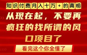 知识付费月入10个W的真相，做网创项目这一个就够了，不要再疯狂的找所谓的风口项目【揭秘】-八瞄副业网