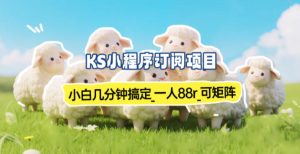 小程序订阅项目_小白几分钟搞定，一人88米，可矩阵（已测到账）-八瞄副业网