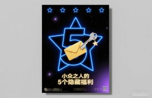 付费文章:小众之人的5个隐藏福利-八瞄副业网