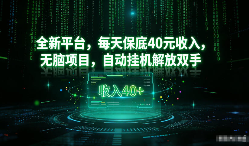最新看广平台，每天保底30-4米，无脑项目，自动挂G解放双手【揭秘】-八瞄副业网