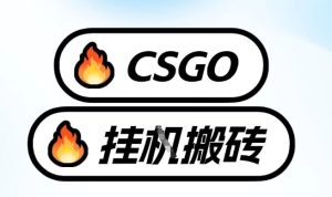 真全网独家CSGO挂G，最新玩法,单日捡漏1K+，不用电脑，不用打游戏【揭秘】-八瞄副业网