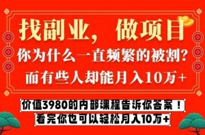 价值3980的网创内部课程，告诉你互联网创业月入10个W的秘密【揭秘】-八瞄副业网
