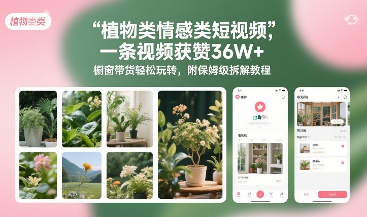 植物类情感类短视频，一条视频获赞36W+，橱窗带货轻松玩转，附保姆级拆解教程-八瞄副业网