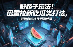 野路子玩法！迅雷拉新吃瓜类打法，截流自热以及后端处理-八瞄副业网