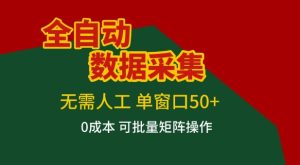 全自动数据采集项目，无需人工，单窗口可达50+收益，操作简单无难度，一个人也能轻松实现矩阵【揭秘】-八瞄副业网