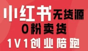小红书无货源0粉电商课,开店准备、选品策略、笔记撰写、视频剪辑、数据分析、账号打造、资料文档(更新26年3月)-八瞄副业网