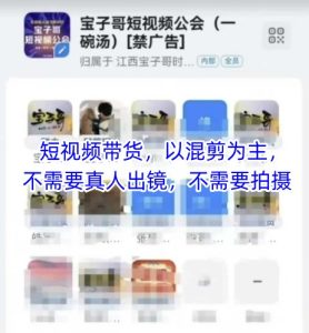 宝子哥头部团队短视频带货，以混剪为主，不需要真人出镜，不需要拍摄【更新26年3月】-八瞄副业网